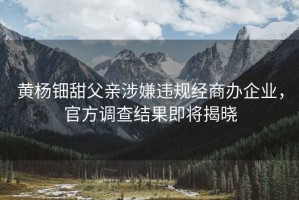黃楊鈿甜父親涉嫌違規(guī)經(jīng)商辦企業(yè)，官方調(diào)查結(jié)果即將揭曉