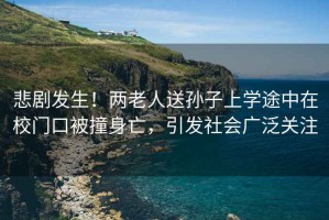 悲劇發(fā)生！兩老人送孫子上學(xué)途中在校門口被撞身亡，引發(fā)社會廣泛關(guān)注