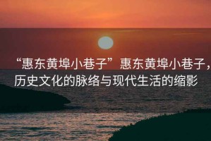 “惠東黃埠小巷子”惠東黃埠小巷子，歷史文化的脈絡(luò)與現(xiàn)代生活的縮影