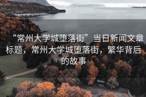 “常州大學(xué)城墮落街”當(dāng)日新聞文章標(biāo)題，常州大學(xué)城墮落街，繁華背后的故事