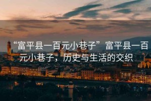 “富平縣一百元小巷子”富平縣一百元小巷子，歷史與生活的交織