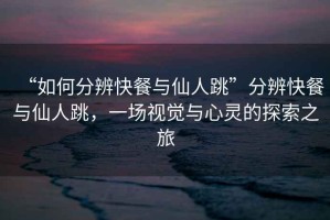 “如何分辨快餐與仙人跳”分辨快餐與仙人跳，一場視覺與心靈的探索之旅