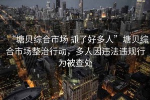 “塘貝綜合市場 抓了好多人”塘貝綜合市場整治行動，多人因違法違規(guī)行為被查處