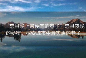 “忠縣晚上最便宜的巷子”忠縣夜晚的秘密，探索城市中最實(shí)惠的巷子