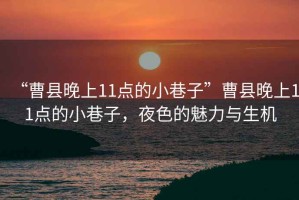 “曹縣晚上11點(diǎn)的小巷子”曹縣晚上11點(diǎn)的小巷子，夜色的魅力與生機(jī)