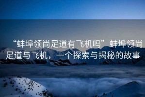 “蚌埠領(lǐng)尚足道有飛機嗎”蚌埠領(lǐng)尚足道與飛機，一個探索與揭秘的故事