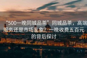 “500一晚同城品茶”同城品茶，高端服務還是市場亂象？一晚收費五百元的背后探討