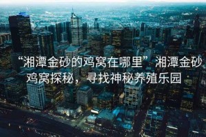 “湘潭金砂的雞窩在哪里”湘潭金砂雞窩探秘，尋找神秘養(yǎng)殖樂(lè)園