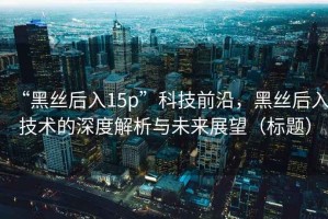 “黑絲后入15p”科技前沿，黑絲后入技術(shù)的深度解析與未來展望（標(biāo)題）