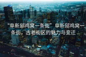 “阜新邱雞窩一條街”阜新邱雞窩一條街，古老街區(qū)的魅力與變遷