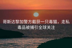 哥斯達(dá)黎加警方截獲一只毒貓，走私毒品被捕引全球關(guān)注
