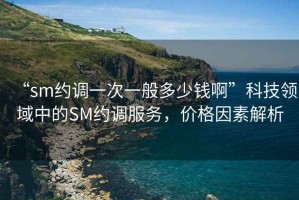 “sm約調(diào)一次一般多少錢啊”科技領(lǐng)域中的SM約調(diào)服務(wù)，價格因素解析