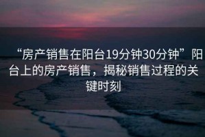 “房產(chǎn)銷售在陽(yáng)臺(tái)19分鐘30分鐘”陽(yáng)臺(tái)上的房產(chǎn)銷售，揭秘銷售過(guò)程的關(guān)鍵時(shí)刻
