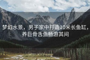 夢幻水景，男子家中打造10米長魚缸，養(yǎng)巨骨舌魚暢游其間