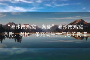 “流沙市雞窩一條街”流沙市雞窩一條街，揭秘一條充滿生活氣息的街道