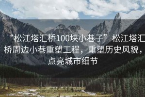 “松江塔匯橋100塊小巷子”松江塔匯橋周邊小巷重塑工程，重塑歷史風(fēng)貌，點(diǎn)亮城市細(xì)節(jié)