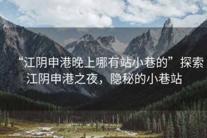 “江陰申港晚上哪有站小巷的”探索江陰申港之夜，隱秘的小巷站