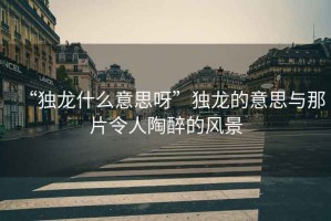 “獨(dú)龍什么意思呀”獨(dú)龍的意思與那片令人陶醉的風(fēng)景