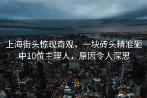 上海街頭驚現(xiàn)奇觀，一塊磚頭精準(zhǔn)砸中10位主理人，原因令人深思