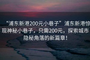 “浦東新港200元小巷子”浦東新港驚現(xiàn)神秘小巷子，只需200元，探索城市隱秘角落的新篇章！