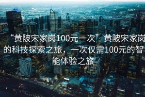 “黃陂宋家崗100元一次”黃陂宋家崗的科技探索之旅，一次僅需100元的智能體驗(yàn)之旅