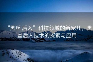 “黑絲 后入”科技領(lǐng)域的新寵兒，黑絲后入技術(shù)的探索與應(yīng)用
