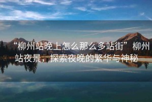 “柳州站晚上怎么那么多站街”柳州站夜景，探索夜晚的繁華與神秘