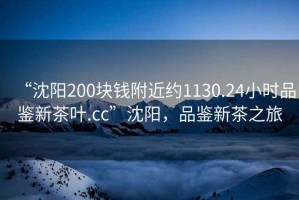 “沈陽200塊錢附近約1130.24小時品鑒新茶葉.cc”沈陽，品鑒新茶之旅