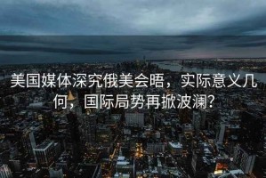 美國媒體深究俄美會晤，實際意義幾何，國際局勢再掀波瀾？