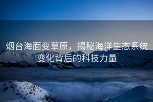 煙臺(tái)海面變草原，揭秘海洋生態(tài)系統(tǒng)變化背后的科技力量