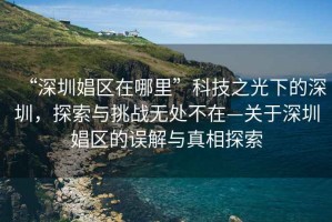 “深圳娼區(qū)在哪里”科技之光下的深圳，探索與挑戰(zhàn)無處不在—關于深圳娼區(qū)的誤解與真相探索