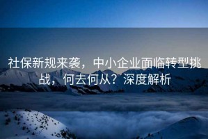 社保新規(guī)來(lái)襲，中小企業(yè)面臨轉(zhuǎn)型挑戰(zhàn)，何去何從？深度解析