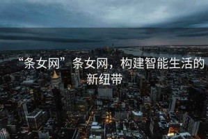 “條女網(wǎng)”條女網(wǎng)，構(gòu)建智能生活的新紐帶