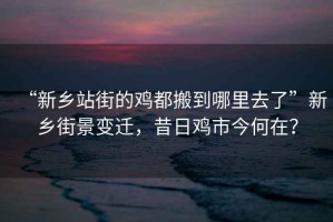 “新鄉(xiāng)站街的雞都搬到哪里去了”新鄉(xiāng)街景變遷，昔日雞市今何在？