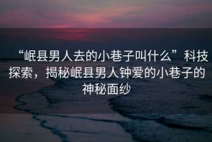 “岷縣男人去的小巷子叫什么”科技探索，揭秘岷縣男人鐘愛的小巷子的神秘面紗