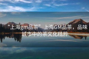 “上海gm品茶”上海GM品茶，品味城市中的茶文化精粹