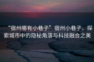“宿州哪有小巷子”宿州小巷子，探索城市中的隱秘角落與科技融合之美