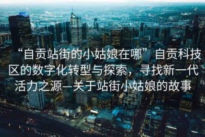 “自貢站街的小姑娘在哪”自貢科技區(qū)的數(shù)字化轉(zhuǎn)型與探索，尋找新一代活力之源—關(guān)于站街小姑娘的故事