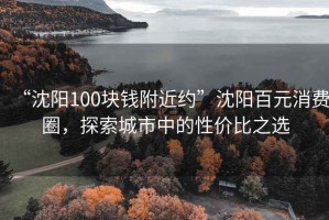 “沈陽100塊錢附近約”沈陽百元消費(fèi)圈，探索城市中的性價比之選