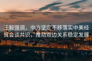 王毅強(qiáng)調(diào)，中方堅定不移落實中美經(jīng)貿(mào)會談共識，推動雙邊關(guān)系穩(wěn)定發(fā)展