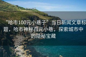 “哈市100元小巷子”當(dāng)日新聞文章標(biāo)題，哈市神秘百元小巷，探索城市中的隱秘寶藏