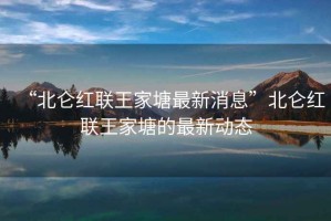 “北侖紅聯(lián)王家塘最新消息”北侖紅聯(lián)王家塘的最新動態(tài)