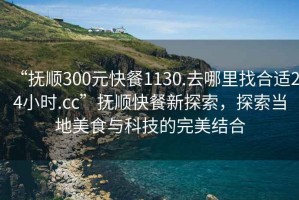 “撫順300元快餐1130.去哪里找合適24小時.cc”撫順快餐新探索，探索當?shù)孛朗撑c科技的完美結合