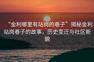 “金利哪里有站崗的巷子”揭秘金利站崗巷子的故事，歷史變遷與社區(qū)新貌