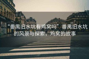 “番禺舊水坑有雞窩嗎”番禺舊水坑的風(fēng)景與探索，雞窩的故事