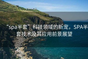 “spa半套”科技領(lǐng)域的新寵，SPA半套技術(shù)及其應(yīng)用前景展望