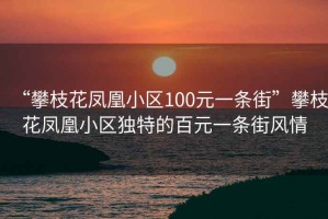 “攀枝花鳳凰小區(qū)100元一條街”攀枝花鳳凰小區(qū)獨(dú)特的百元一條街風(fēng)情
