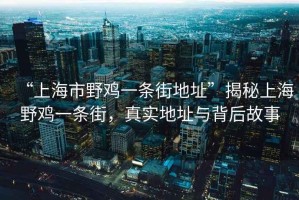 “上海市野雞一條街地址”揭秘上海野雞一條街，真實地址與背后故事