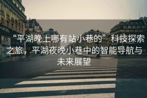 “平湖晚上哪有站小巷的”科技探索之旅，平湖夜晚小巷中的智能導(dǎo)航與未來(lái)展望