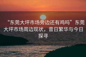 “東莞大坪市場旁邊還有雞嗎”東莞大坪市場周邊現(xiàn)狀，昔日繁華與今日探尋